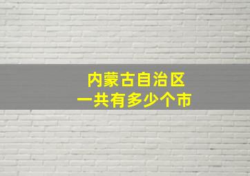 内蒙古自治区一共有多少个市