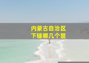 内蒙古自治区下辖哪几个盟