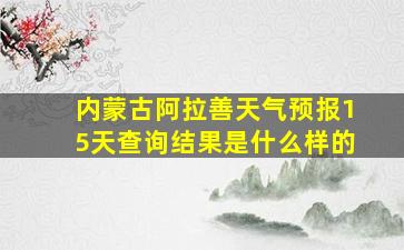 内蒙古阿拉善天气预报15天查询结果是什么样的