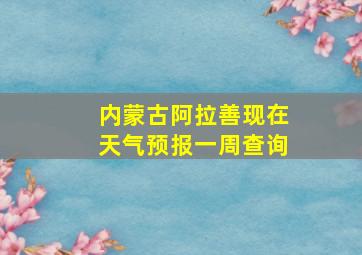 内蒙古阿拉善现在天气预报一周查询