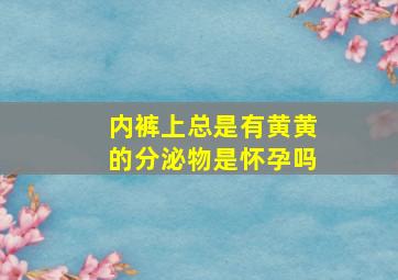 内裤上总是有黄黄的分泌物是怀孕吗