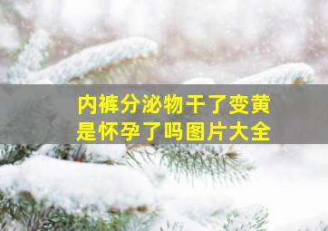 内裤分泌物干了变黄是怀孕了吗图片大全