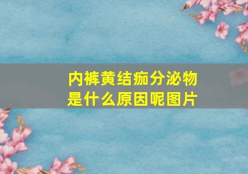 内裤黄结痂分泌物是什么原因呢图片