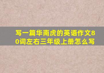 写一篇华南虎的英语作文80词左右三年级上册怎么写