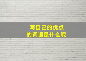 写自己的优点的词语是什么呢