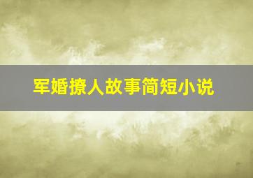 军婚撩人故事简短小说