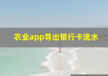 农业app导出银行卡流水