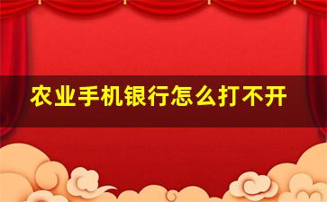 农业手机银行怎么打不开