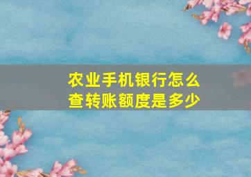 农业手机银行怎么查转账额度是多少