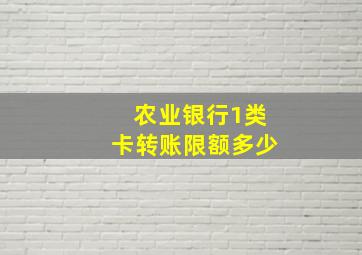 农业银行1类卡转账限额多少