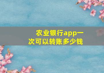 农业银行app一次可以转账多少钱