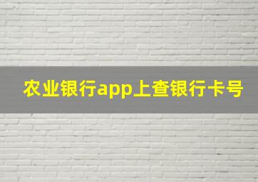 农业银行app上查银行卡号