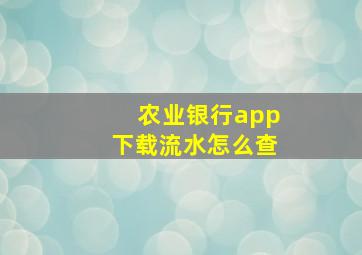 农业银行app下载流水怎么查