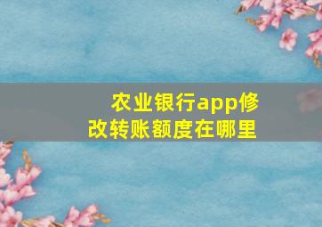 农业银行app修改转账额度在哪里