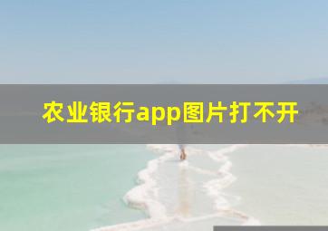 农业银行app图片打不开