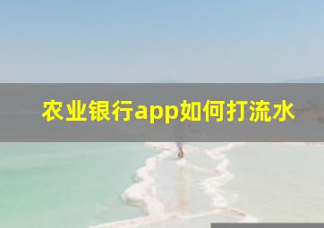 农业银行app如何打流水