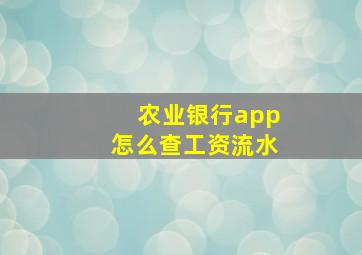 农业银行app怎么查工资流水