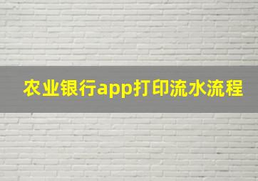 农业银行app打印流水流程