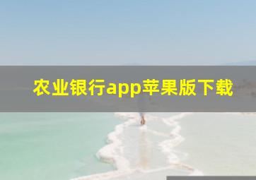 农业银行app苹果版下载