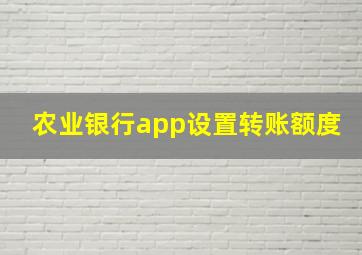 农业银行app设置转账额度