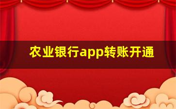 农业银行app转账开通