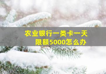 农业银行一类卡一天限额5000怎么办