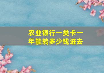 农业银行一类卡一年能转多少钱进去