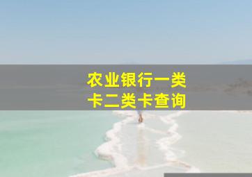 农业银行一类卡二类卡查询