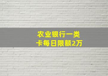 农业银行一类卡每日限额2万