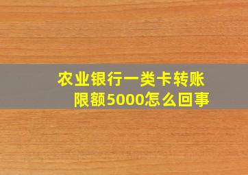 农业银行一类卡转账限额5000怎么回事