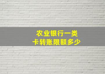 农业银行一类卡转账限额多少