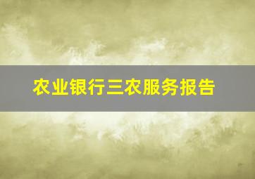 农业银行三农服务报告