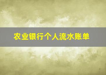 农业银行个人流水账单