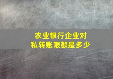 农业银行企业对私转账限额是多少