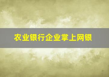 农业银行企业掌上网银