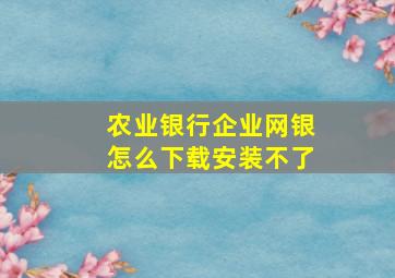 农业银行企业网银怎么下载安装不了