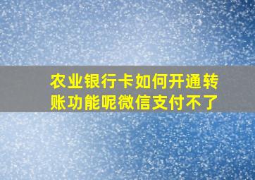 农业银行卡如何开通转账功能呢微信支付不了