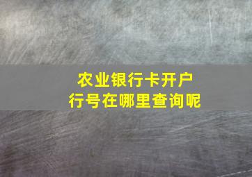 农业银行卡开户行号在哪里查询呢