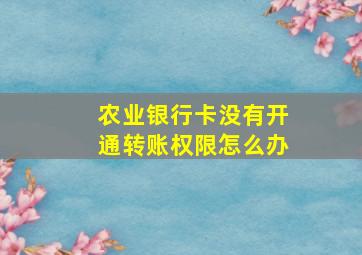 农业银行卡没有开通转账权限怎么办