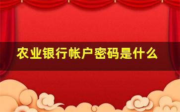 农业银行帐户密码是什么