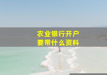 农业银行开户要带什么资料