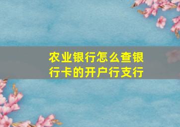 农业银行怎么查银行卡的开户行支行