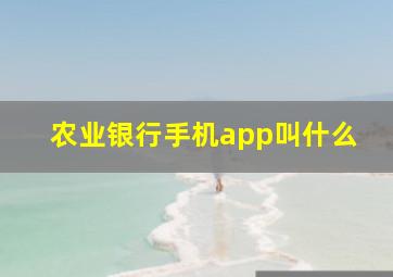 农业银行手机app叫什么