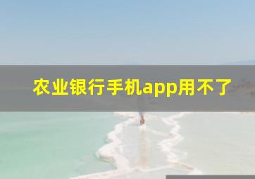 农业银行手机app用不了