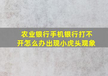 农业银行手机银行打不开怎么办出现小虎头观象