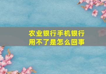 农业银行手机银行用不了是怎么回事