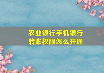 农业银行手机银行转账权限怎么开通