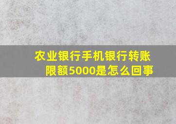 农业银行手机银行转账限额5000是怎么回事