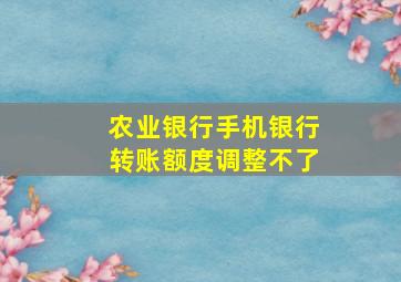 农业银行手机银行转账额度调整不了