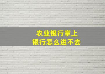 农业银行掌上银行怎么进不去